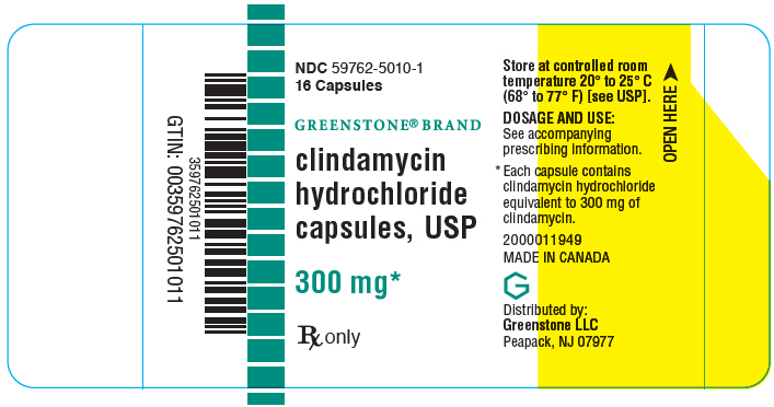 PRINCIPAL DISPLAY PANEL - 300 mg Capsule Bottle Label - 16 Capsule