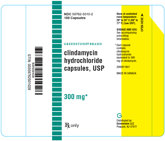 PRINCIPAL DISPLAY PANEL - 300 mg Capsule Bottle Label - 100 Capsule