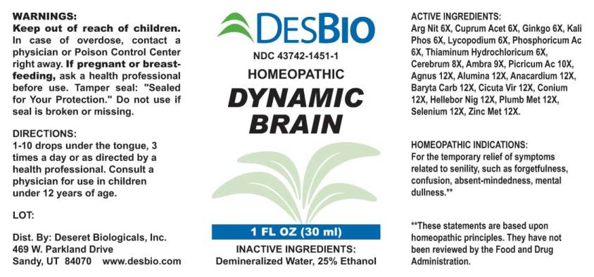 Dynamic Brain