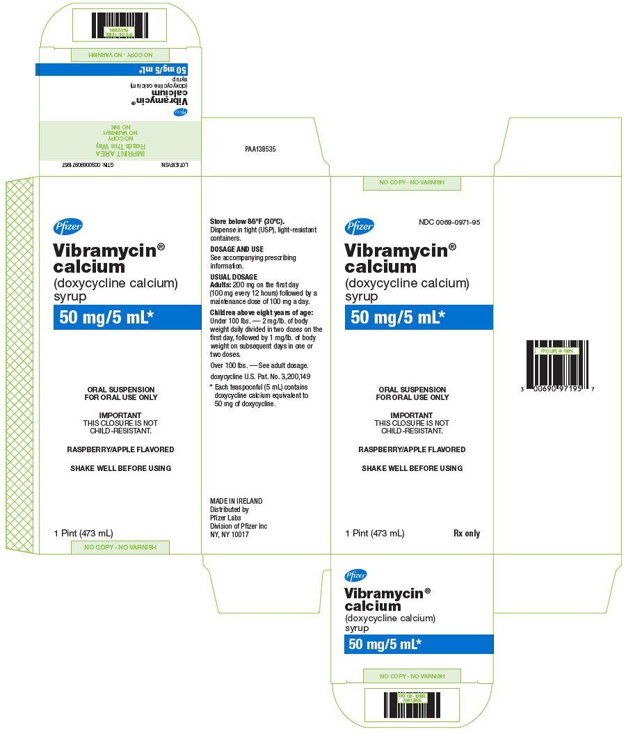 PRINCIPAL DISPLAY PANEL - 473 mL Bottle Carton