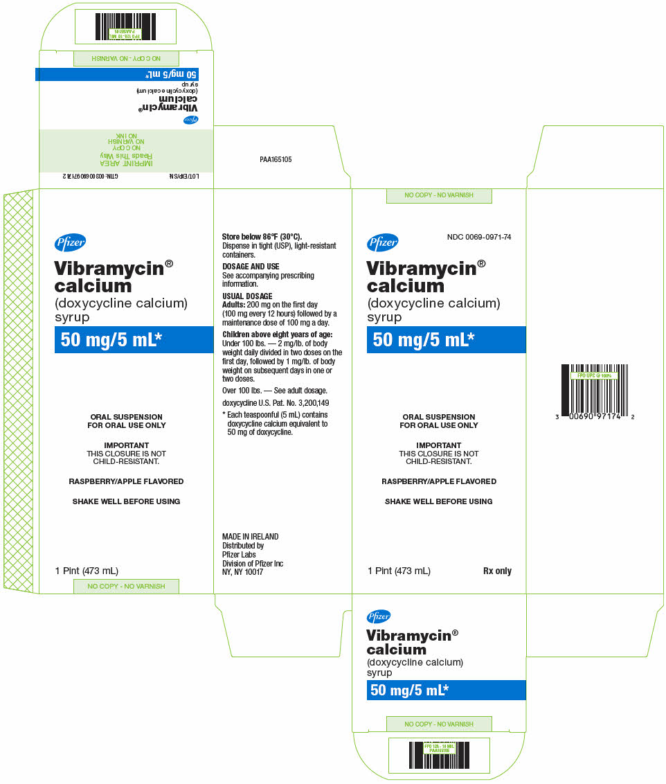 PRINCIPAL DISPLAY PANEL - 473 mL Bottle Carton - NDC 0069-0971-74