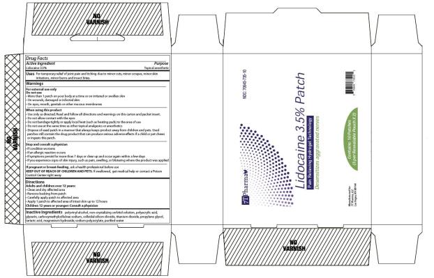 Lidocaine 3.5% Patch
NDC 70645-735-10
10 Patches (5 per Resealable Pouch X 2)
Manufactured for: 
7T Pharma, LLC
Las Vegas, NV 89144
