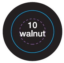 walnut
