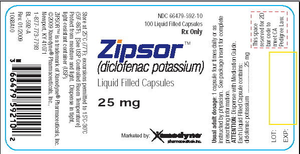 Principal Display Panel - Bottle Label – 25 mg
