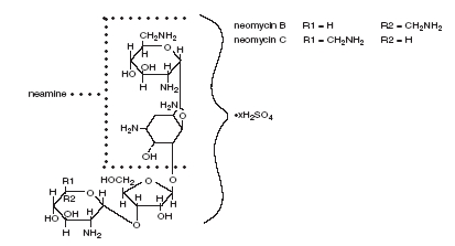 Neomycin Sulfate (structural formula)