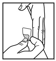 Step 7 B