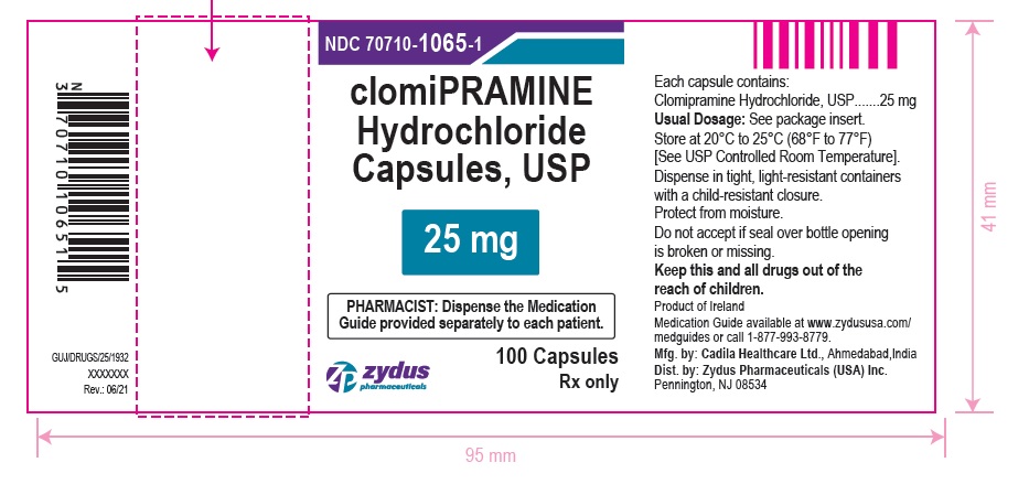 Clomipramine Hydrochloride Capsules, USP