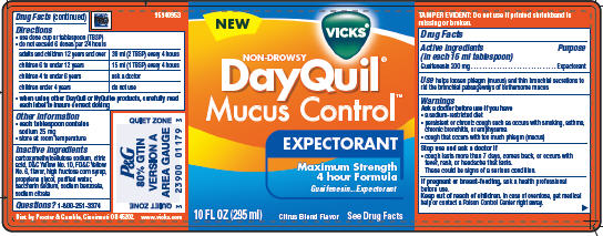 vicks-dayquil-mucus-control-guaifenesin-liquid-while-breastfeeding