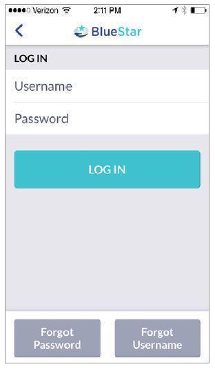 Login Mobile