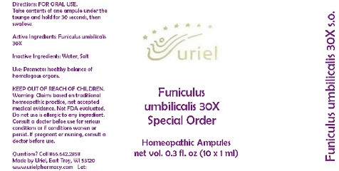 FuniculusUmbilicalis30SOAmpules