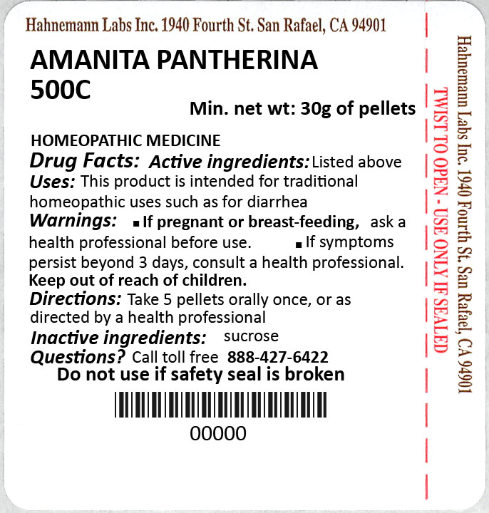 Amanita pantherina 500C 30g