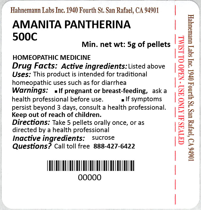 Amanita pantherina 500C 5g