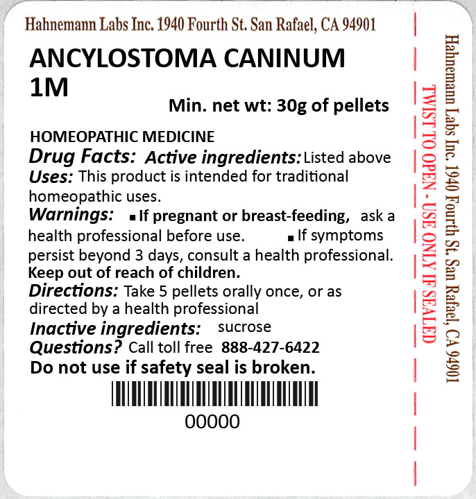 Ancylostoma Caninum 1m 30g