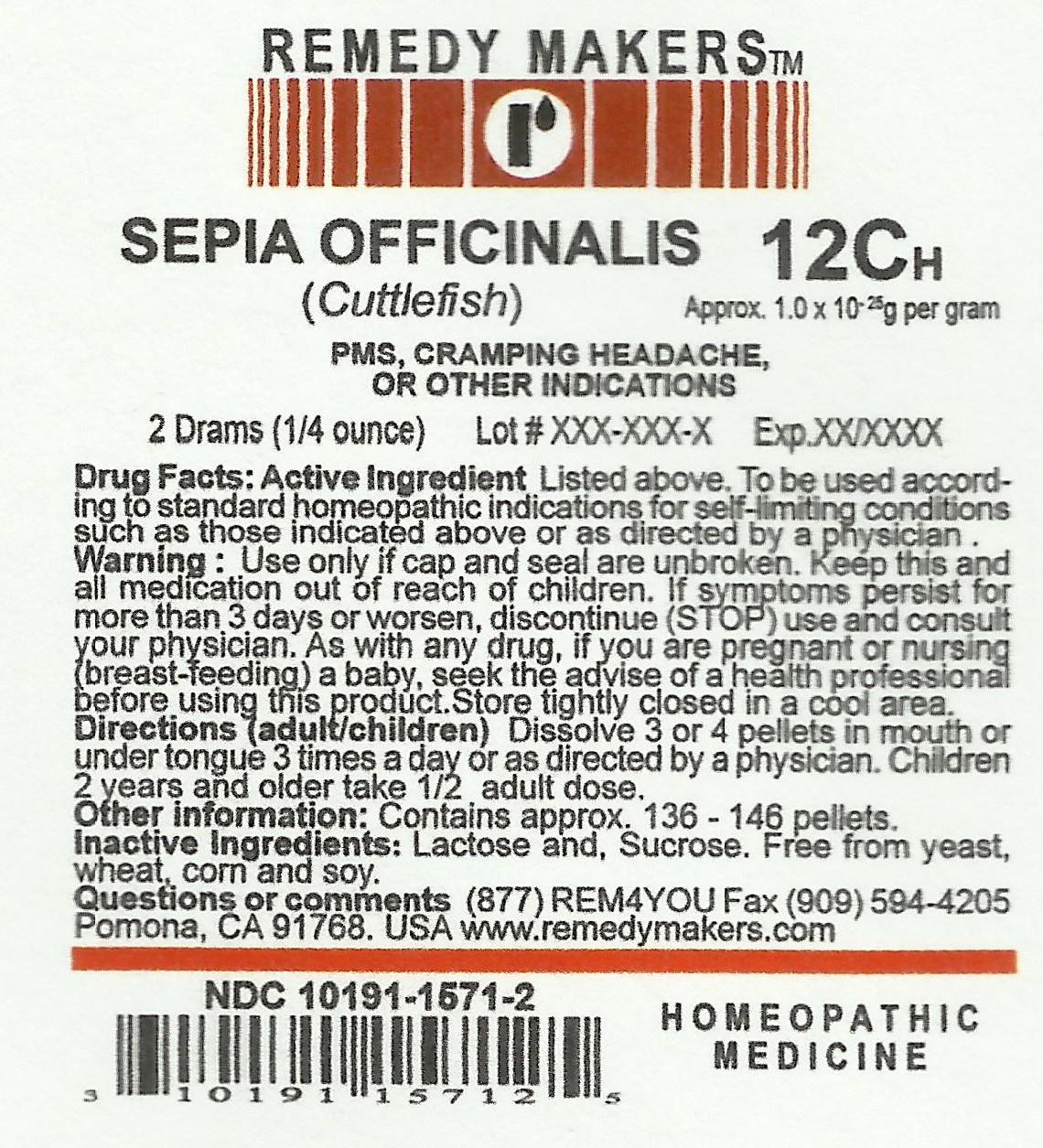 ADW: Sepia officinalis: INFORMATION
