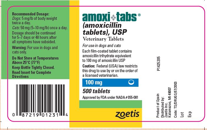what does amoxicillin treat in dogs