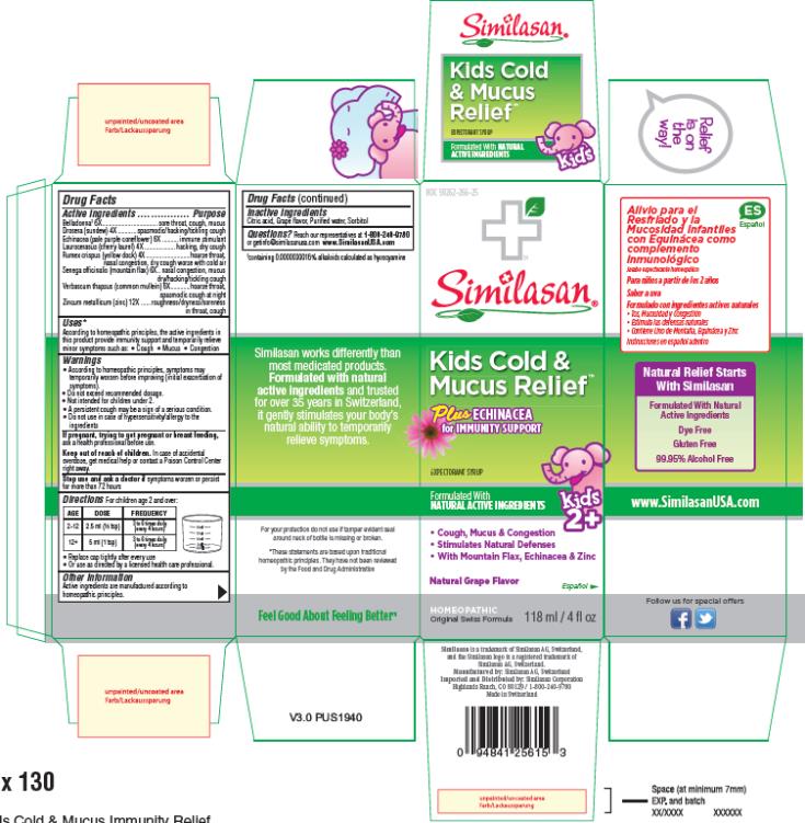 PRINCIPAL DISPLAY PANEL
NDC 59262-266-25
Similasan®
Kids Cold &
Mucus Relief
Plus ECHINACEA
for IMMUNITY SUPPORT
EXPECTORANT SYRUP
118 ml / 4 fl oz
