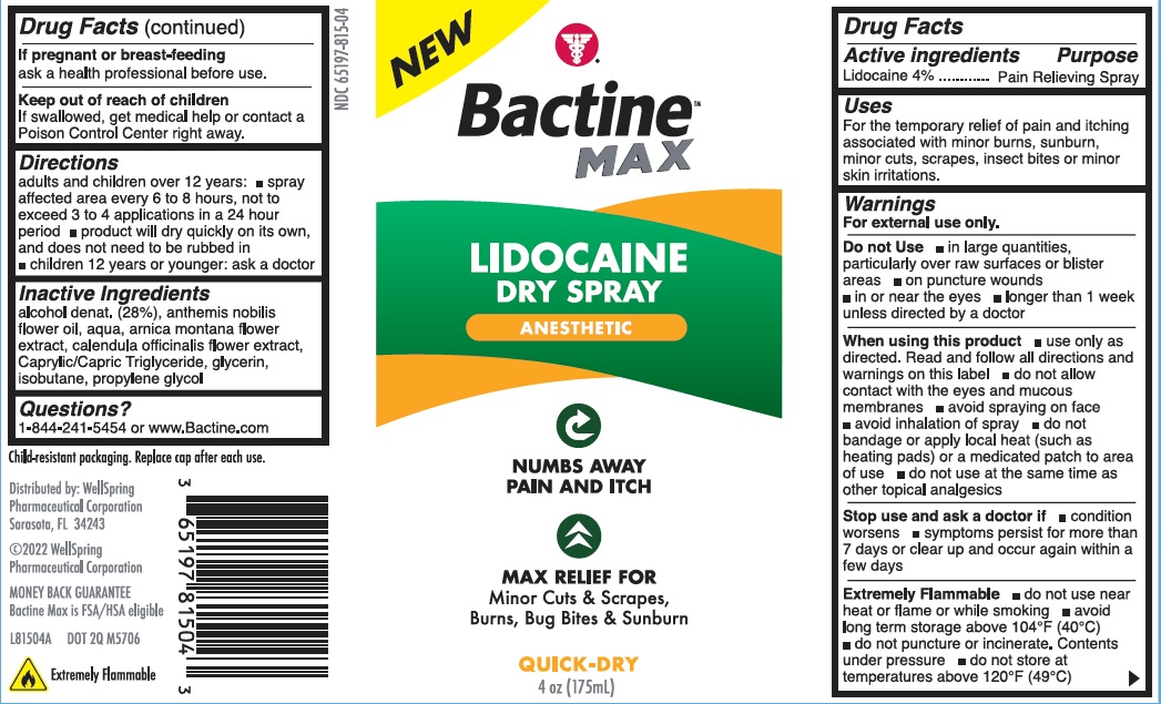  Bactine MAX Liquid Bandage with Lidocaine - Wound