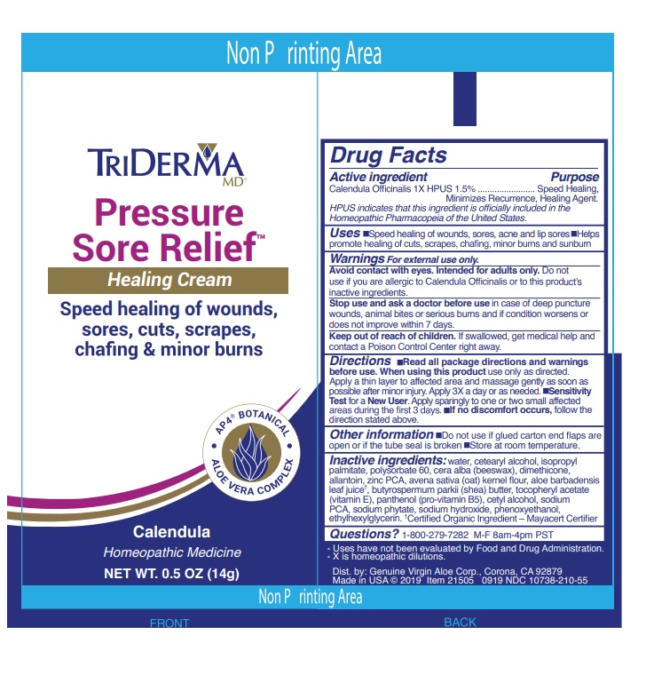 TriDerma Pressure Sore Relief Healing Cream for Wounds & Sores, 4 Ounce  Tube