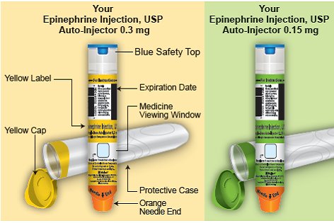 EPIPEN® (epinephrine injection, USP) Auto-Injectors