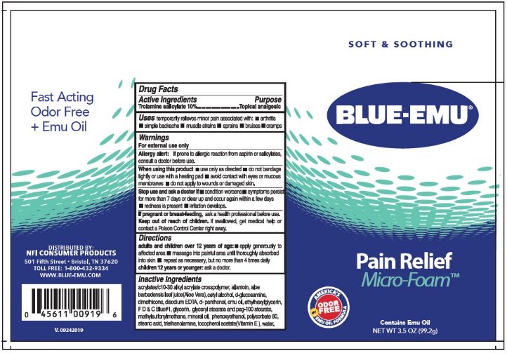 Blue-Emu Pain Relief, Micro-Foam - 3.5 oz