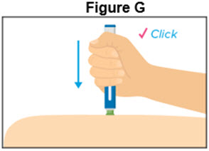 Figure G - Autoinjector - 40 mg/0.4 mL