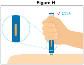 Figure H - Autoinjector - 40 mg/0.4 mL