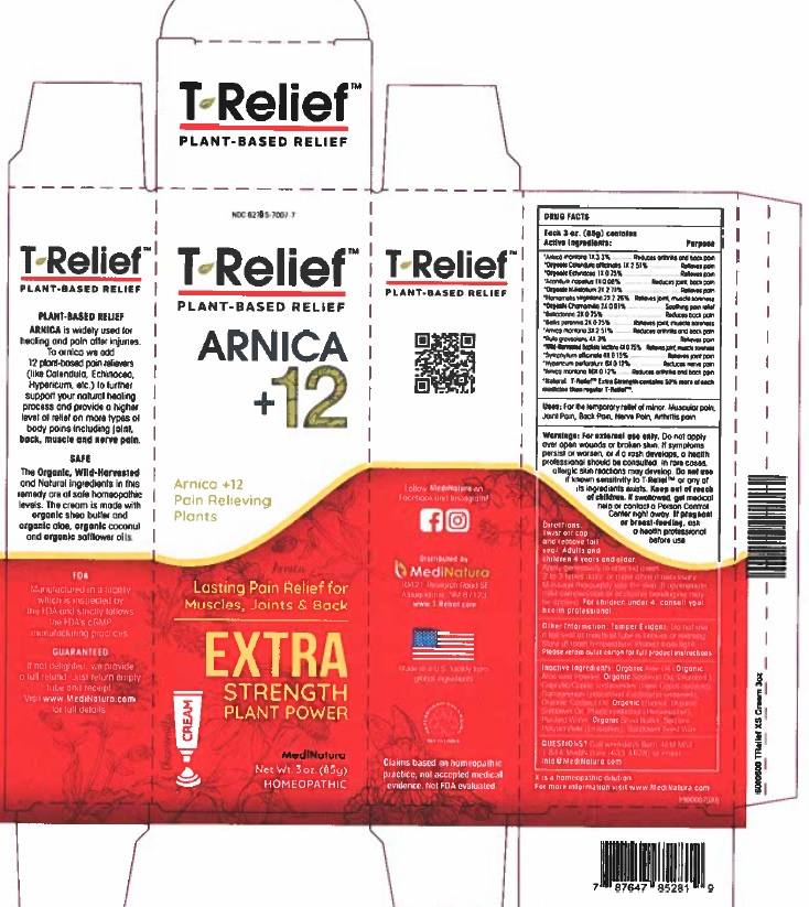 T-Relief Arnica +12 Extra Strength Pain Relief Gel, MediNatura