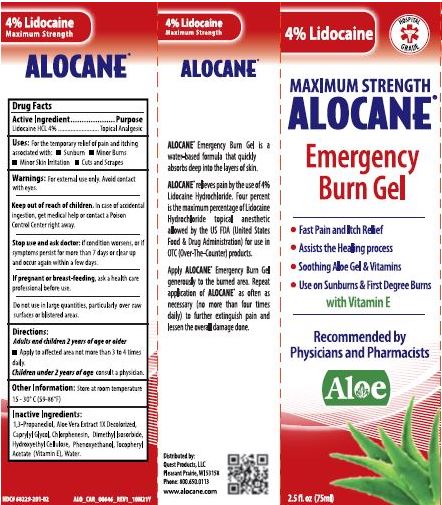 ALOCANE?? Maximum Strength 4% Lidocaine Emergency Room Burn Gel, 32 Ounce  Pump