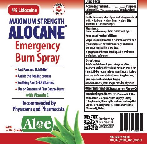 ALOCANE?? Maximum Strength 4% Lidocaine Emergency Room Burn Gel, 32 Ounce  Pump
