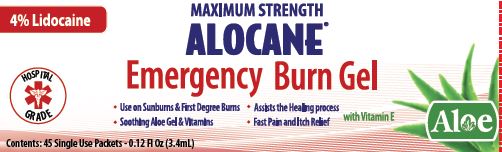 Alocane Maximum Strength Emergency Room Burn Gel, 2.5 Fluid Ounce - Pack of  2