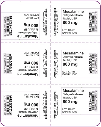 800 mg Mesalamine DR Tablet Blister