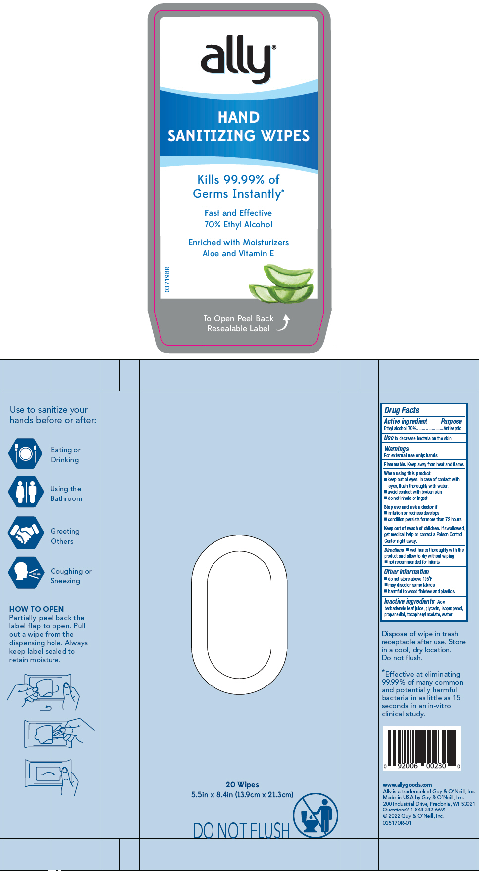 PRINCIPAL DISPLAY PANEL - 20 Wipe Pouch