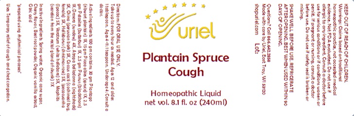 Plantain Spruce Cough Liquid.