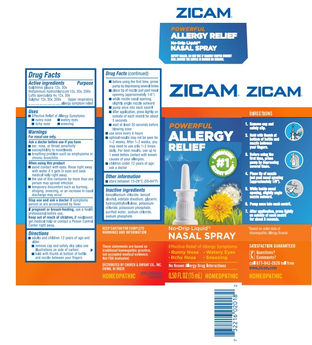 Zicam Allergy Relief Artwork.jpg