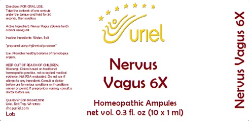 Nervus Vagus 6X Ampules
