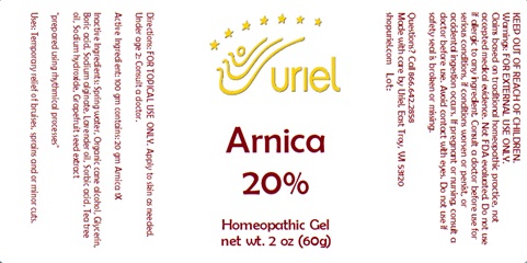 Arnica 20%