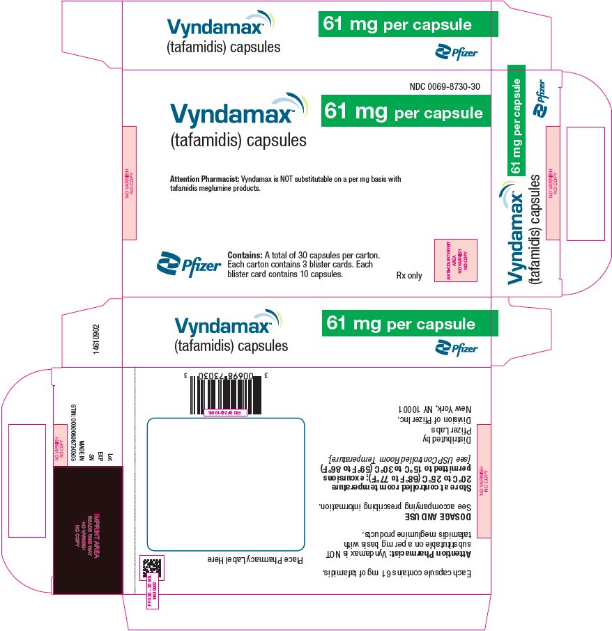 PRINCIPAL DISPLAY PANEL - 61 mg Capsule Blister Card Carton