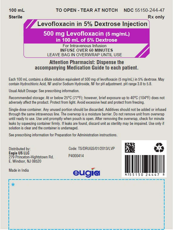 PACKAGE LABEL-PRINCIPAL DISPLAY PANEL - 500 mg Levofloxacin (5 mg / mL) in 100 mL of 5% Dextrose - Pouch (Overwrap) Label