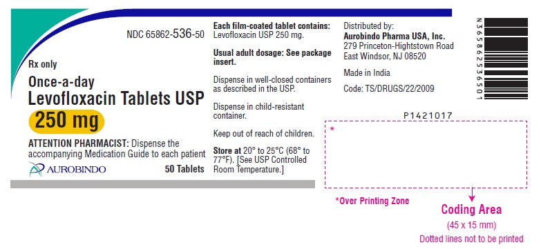 PACKAGE LABEL-PRINCIPAL DISPLAY PANEL - 250 mg (50 Tablet Bottle)