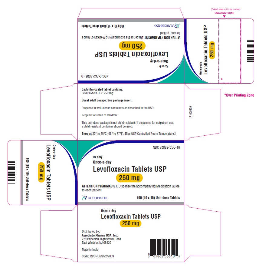 PACKAGE LABEL-PRINCIPAL DISPLAY PANEL - 250 mg Blister Carton (10 x 10 Unit-dose)