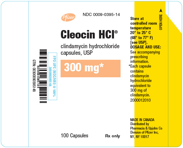 PRINCIPAL DISPLAY PANEL - 300 mg Capsule Bottle Label