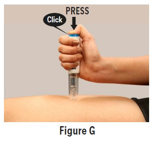 fig8