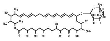 structural formula