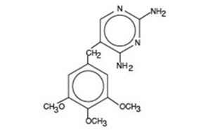 trimethoprim