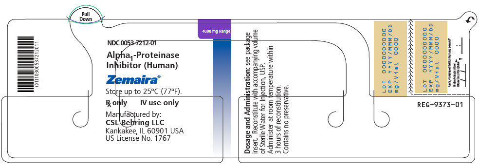 PRINCIPAL DISPLAY PANEL - 4000 mg Vial Label