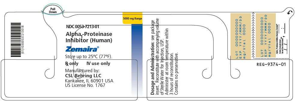 PRINCIPAL DISPLAY PANEL - 5000 mg Vial Label