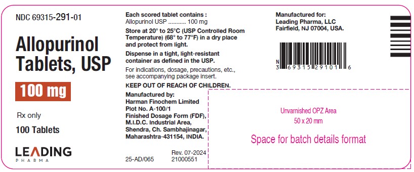 Allopurinol 100 mg 100