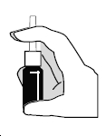 fig2