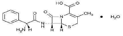 cephalexin-str