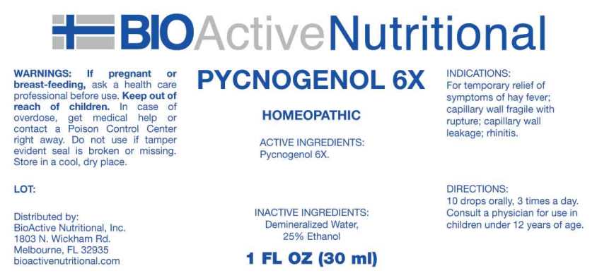 Pycnogenol 6X